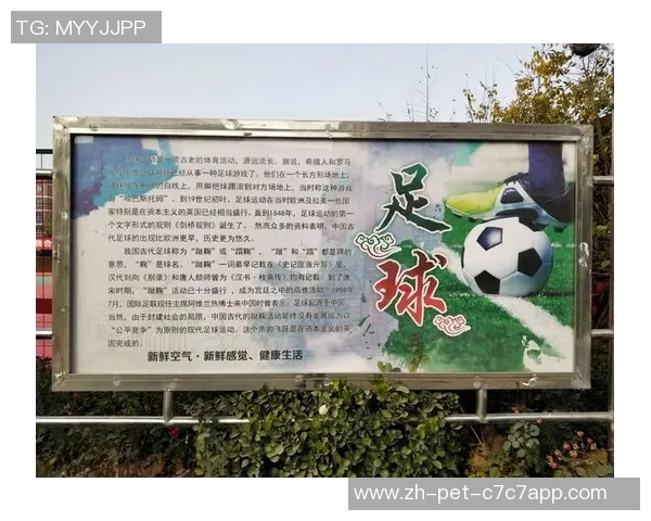 足球校园文化的传承与发展探索促进学生全面素质提升的路径研究