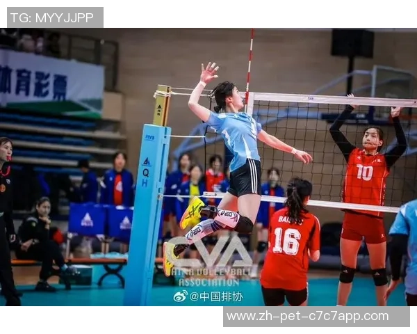 重庆排球队防反战术解析与深度剖析排球竞技的魅力与挑战